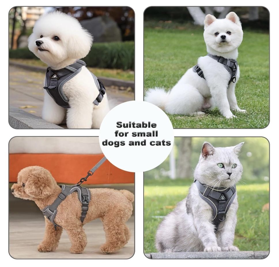 Dog Or Cat Harness And Leash Set