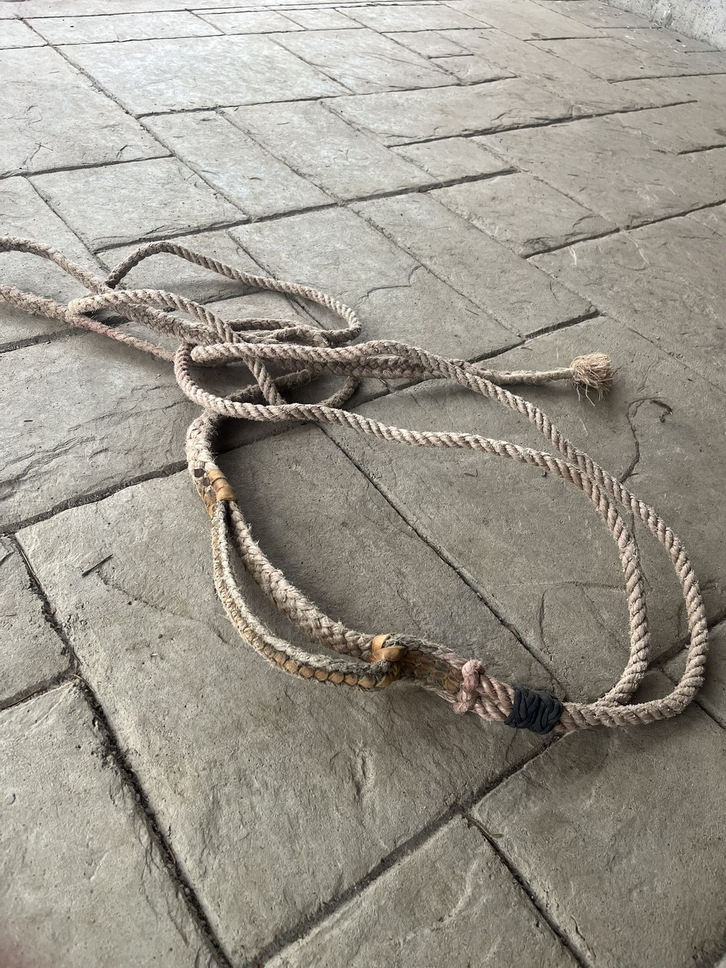 Bull rope