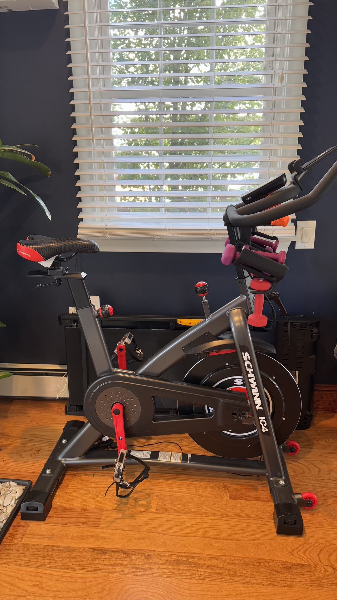 SCHWINN C4
