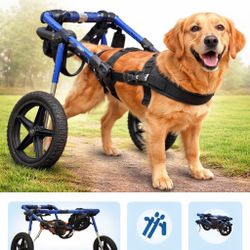 Large Dog Wheelchair – Adjustable – Great Condition – $100