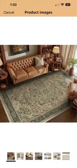 Moody 6x9 Area Rugs for Living Room, Low Pile Thin Washable Non Slip Rugs for Bedroom Dining Room, Vintage Medallion Distressed Carpet for Home Office