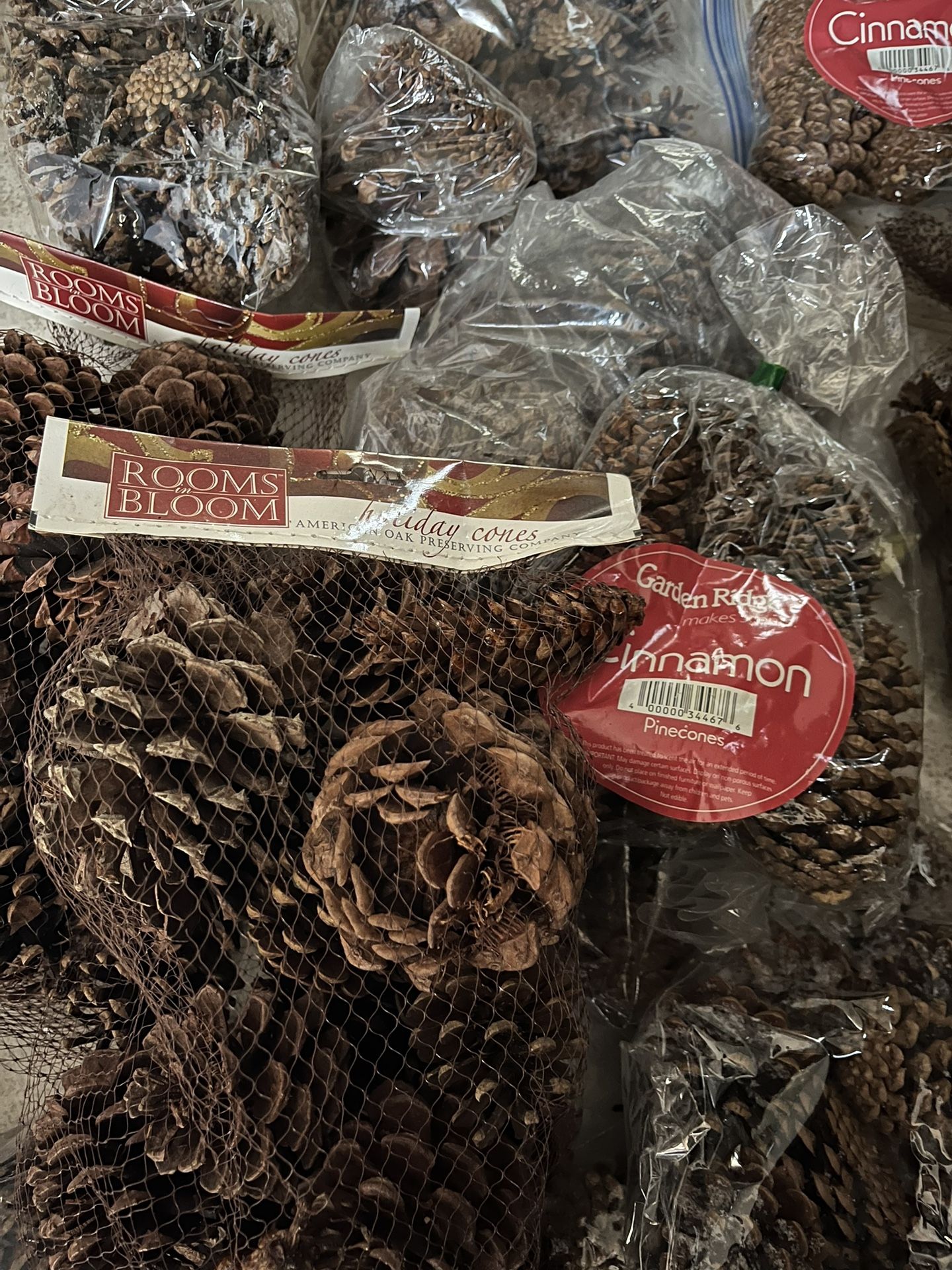 100 PLUS PINE CONES/ MOST NEW
