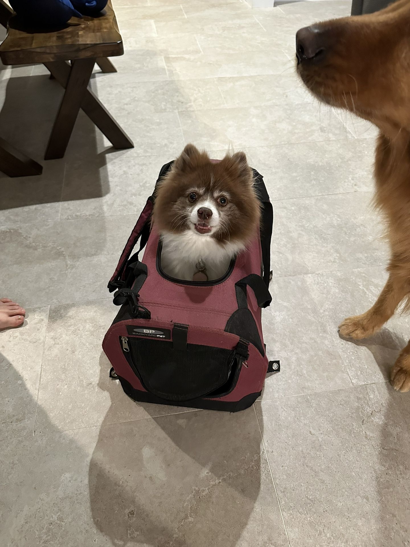 Pet Carrier 