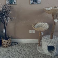 Cat Tree 
