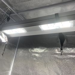 Indoor Vegetable Grow Tent 