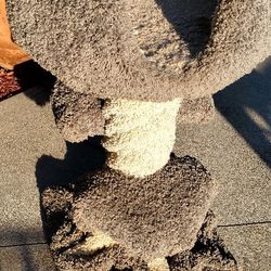 Solid Wood Heavy Duty Cat Tree