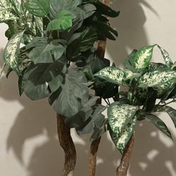 Fake Plant