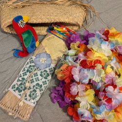 Hula Costume