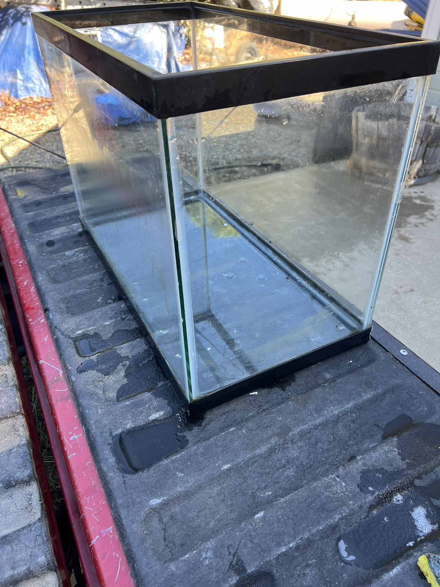 Fish Tank