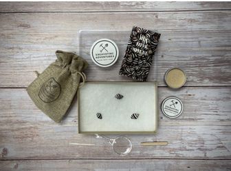 Excavating Adventures-Seashells - (Individual Class Pack)