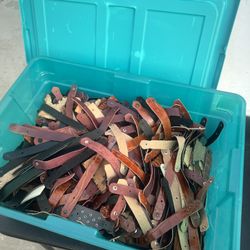 Whole Container Of Leather 