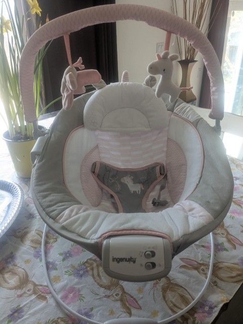 Ingenuity Baby Bouncer 