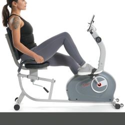 Recumbent Bike 