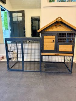 Rabbit/chicken hutch