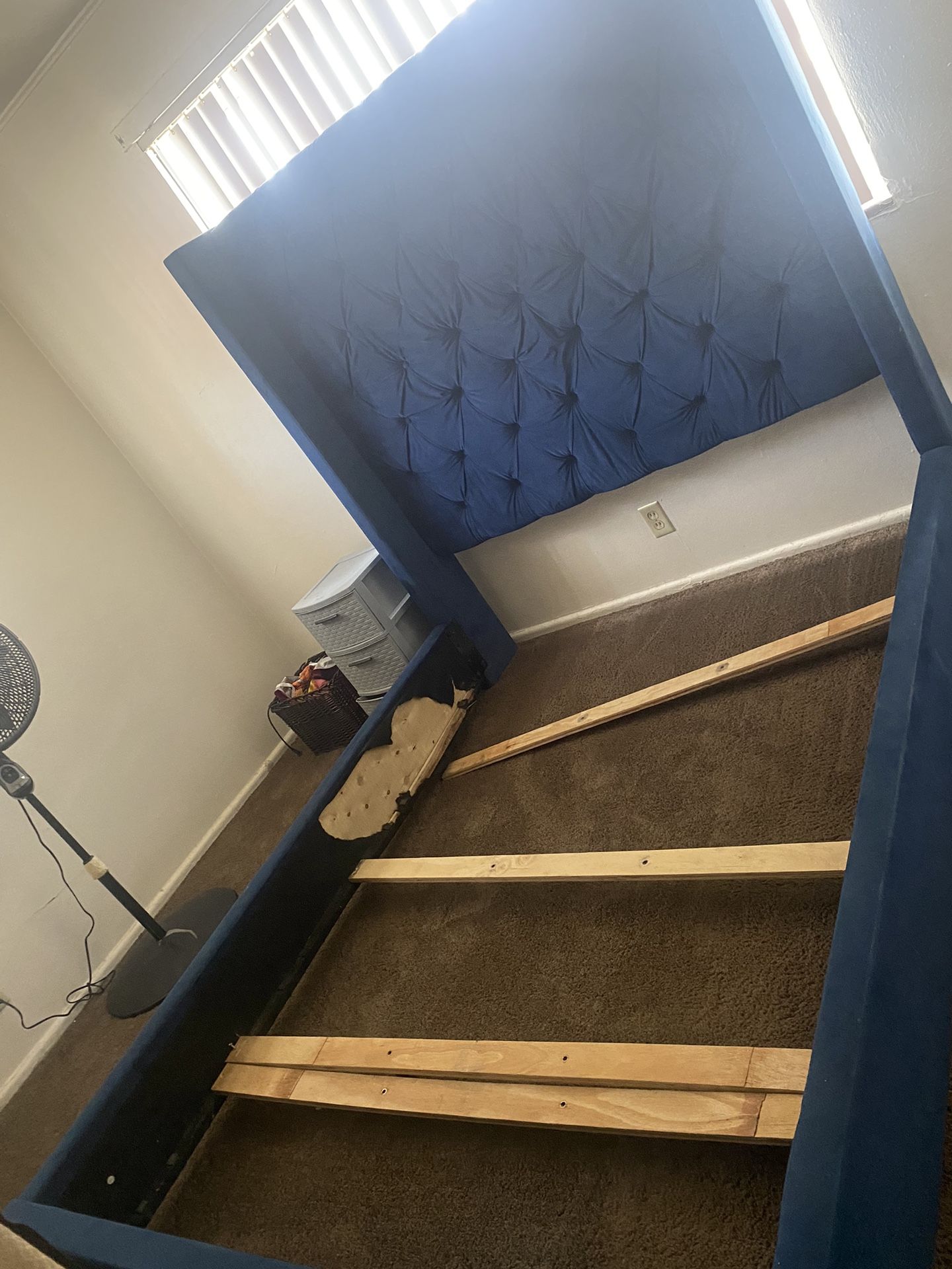 Queen Size Needs Gone