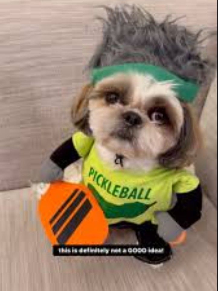 Dog Pickleball Costume Size XL