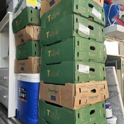 Mexican Squash Grapefruit And Bread 