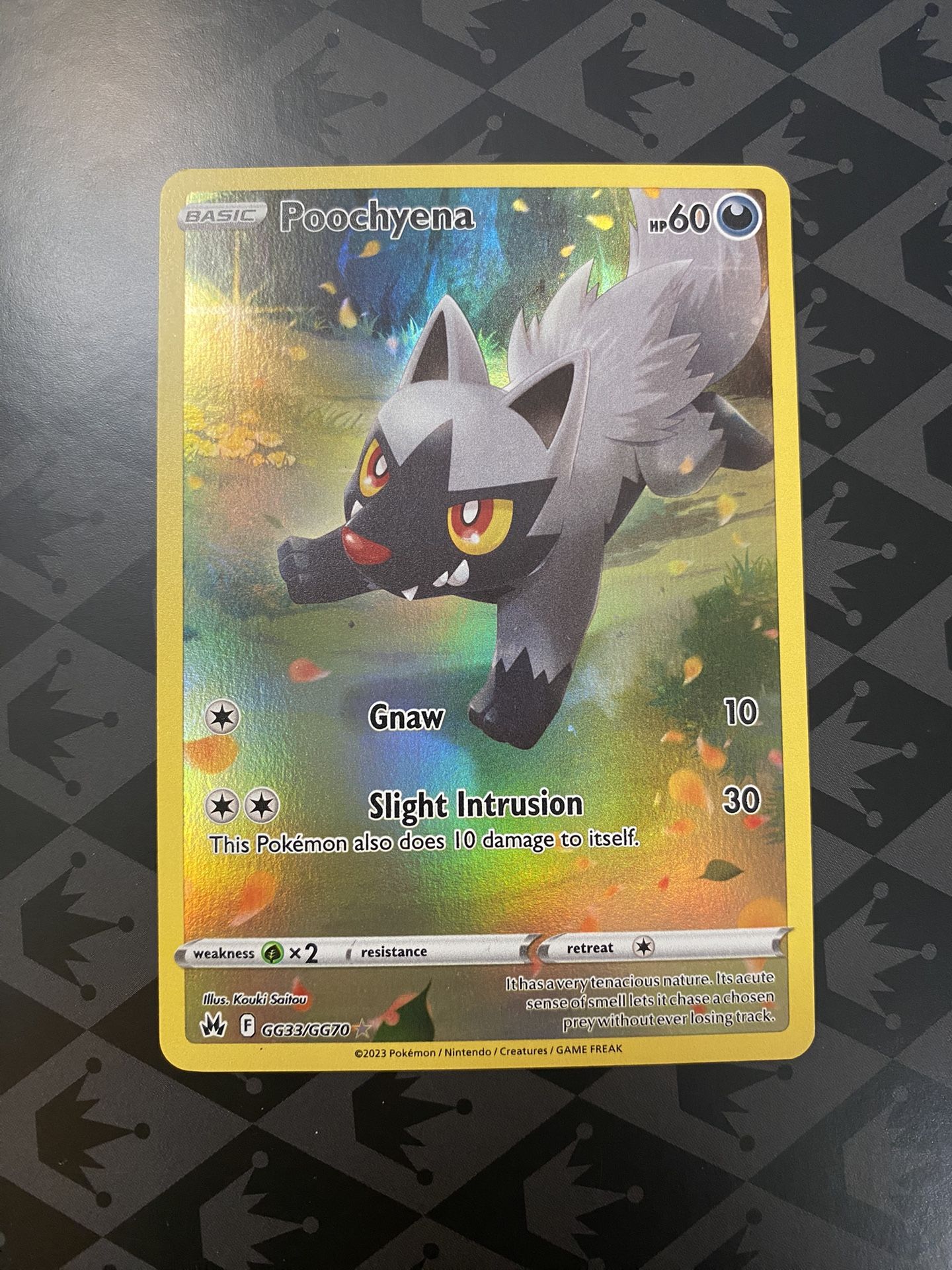 Pokemon Crown Zenith Galarian Gallery Poochyena Holo Rare GG33/GG70