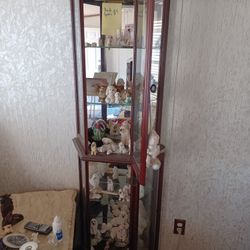 Curio Display Read Below