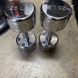30 LB Dumbbells 