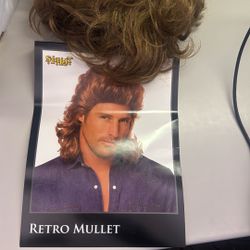 Men’s Wig