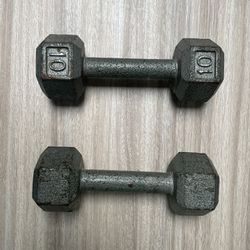 10 Lbs Weights 