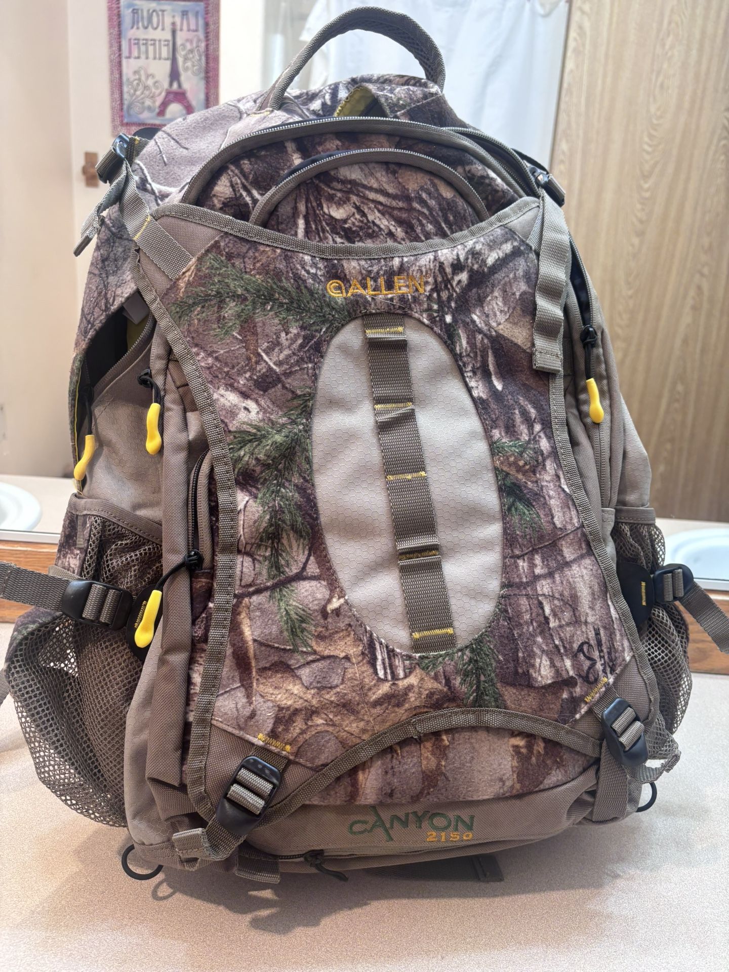 Canyon Daypack Barely Used.