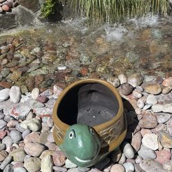 Clay Pots and Planters 