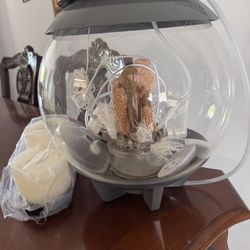 Biorb 4 Gal Aquarium