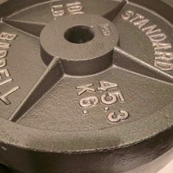 Like New 2x100 Lbs Olympic Weights Plates 