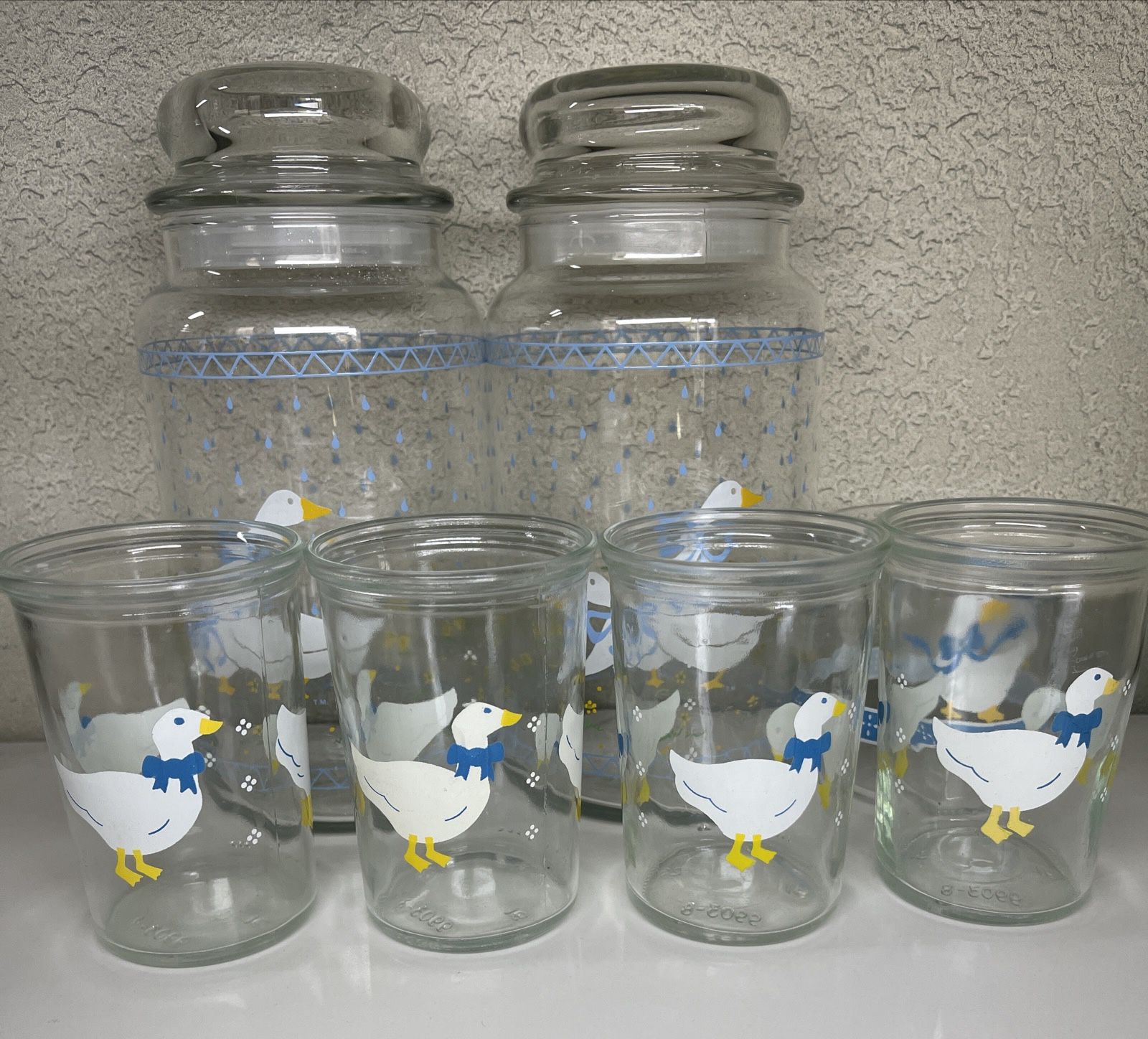 Vintage Libbey 1980st Country geese goose duck jars cups glasses blue ribbon storage jar 9 piece