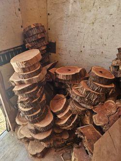 Wood slices and More