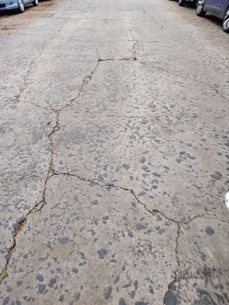 I'll Pick Up Your Leaves And Get Rid Of Them For You