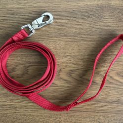 Dog Leash 67 Inch Red