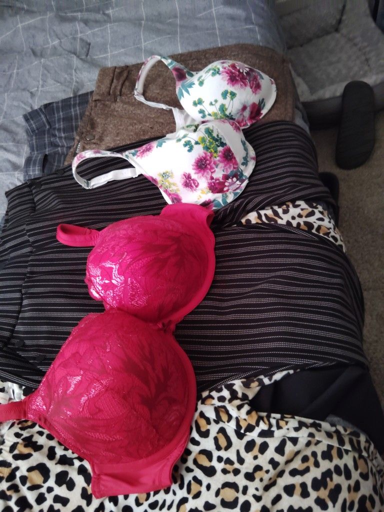 Plus Size 2 X. 44 Dd 44ddd Bras