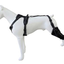 Ventilated Dog Joint Support Sleeves Regulable Polyester Pet