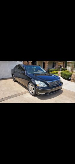 LS(contact info removed) ML