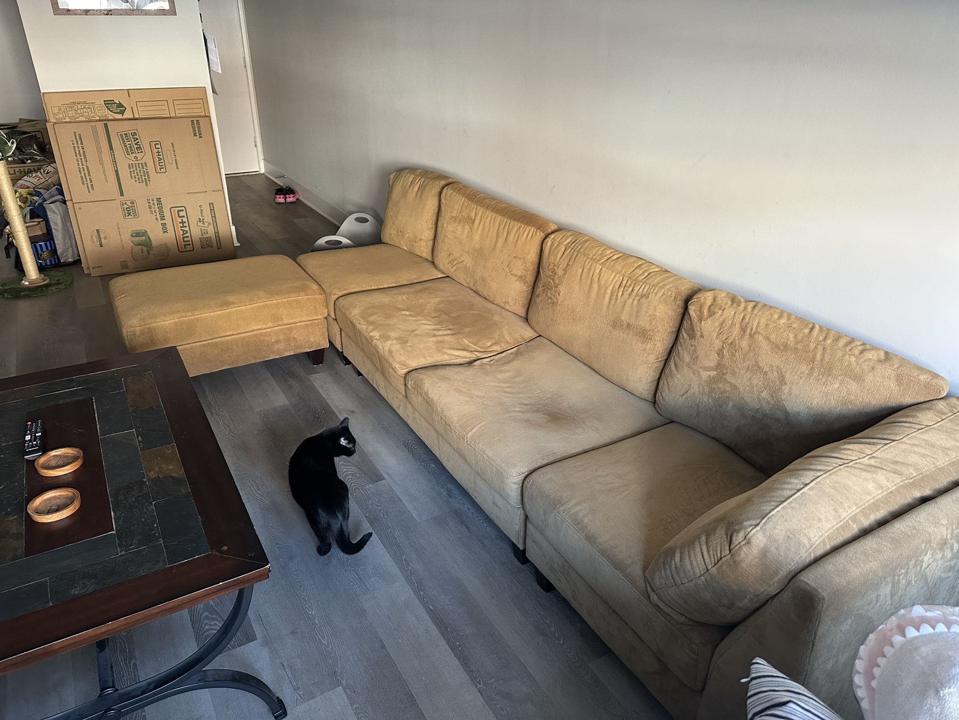 3 Piece Sectional with Ottoman !!! CHEAP !!!
