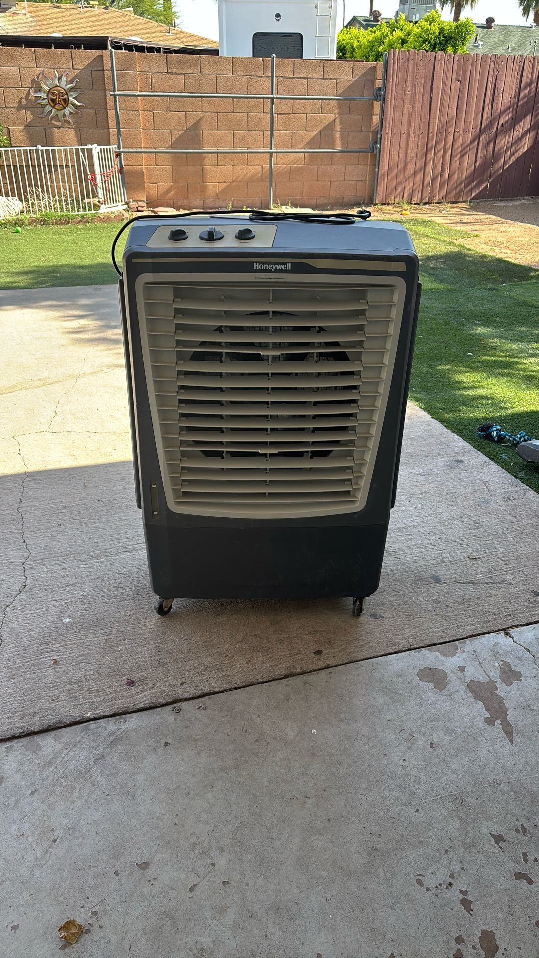 Swam Cooler