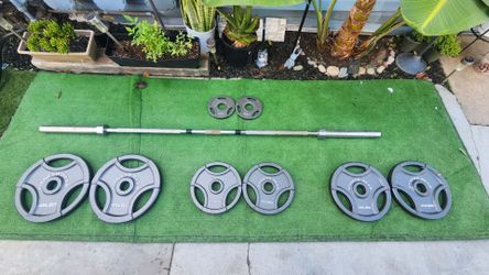 8 Weight plates and 1 Olympic barbell