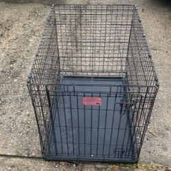 M/Large  Dog Crate 36 Inches long By 24 Inches wide 26 High