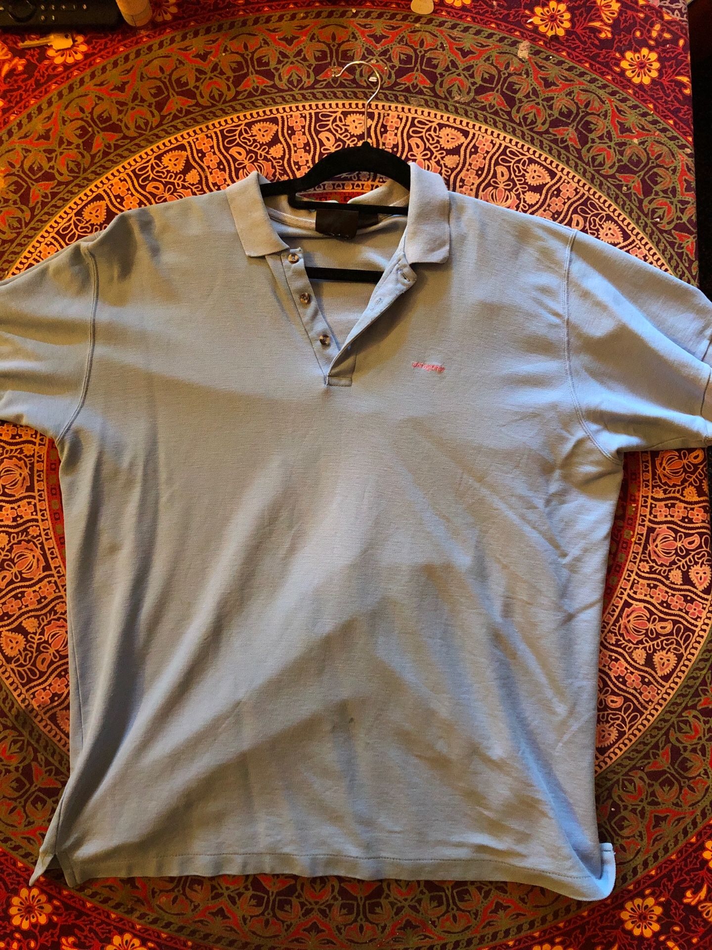 Patagonia Polo (Large)