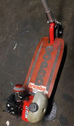 Nice Goped Sport Racing 29cc