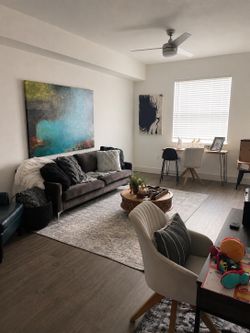 Modern Charcoal Gray Velvet Sofa – $300 OBO