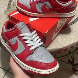 Nike Dunks 