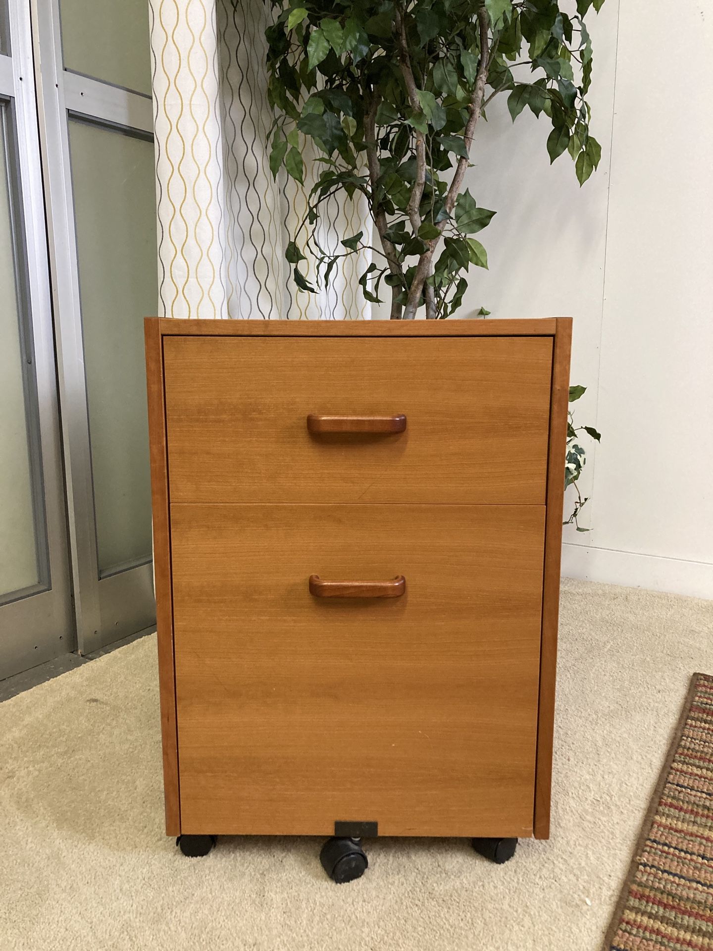 Small Teak File Cabinet