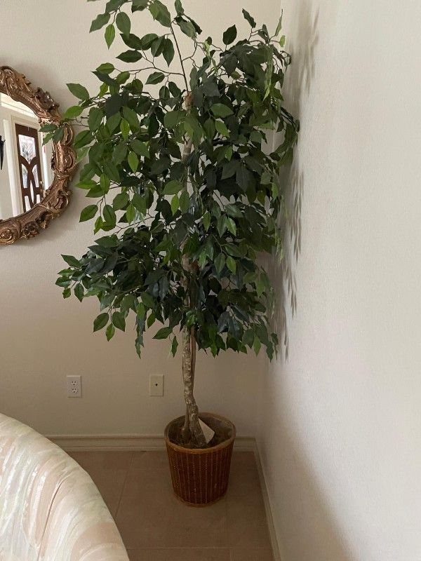 Árbol Casi Nuevo Muy Limpio
