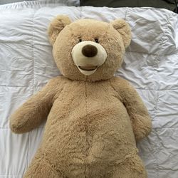 Extra Large Teddy Bear