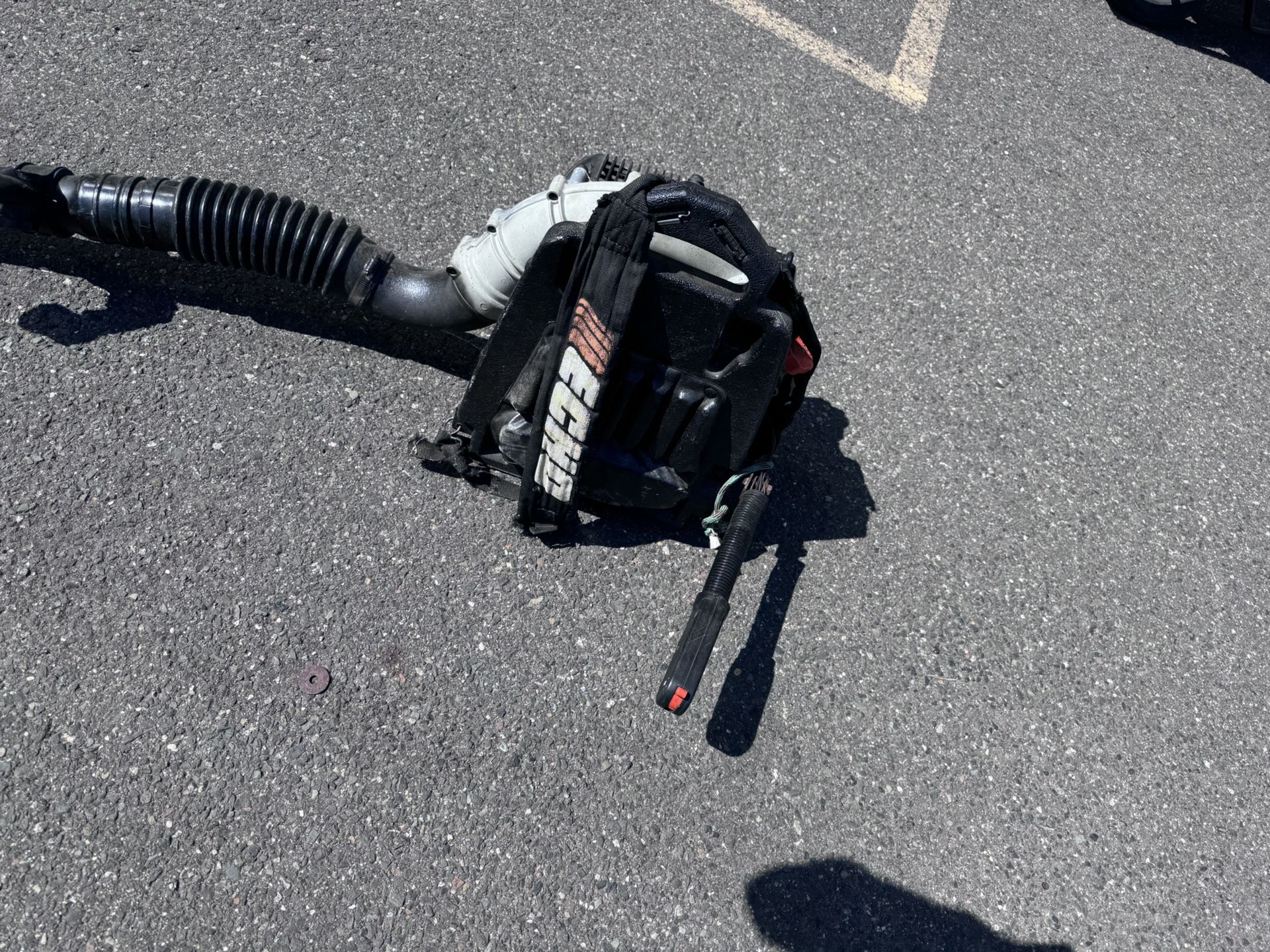 ECHO Blower