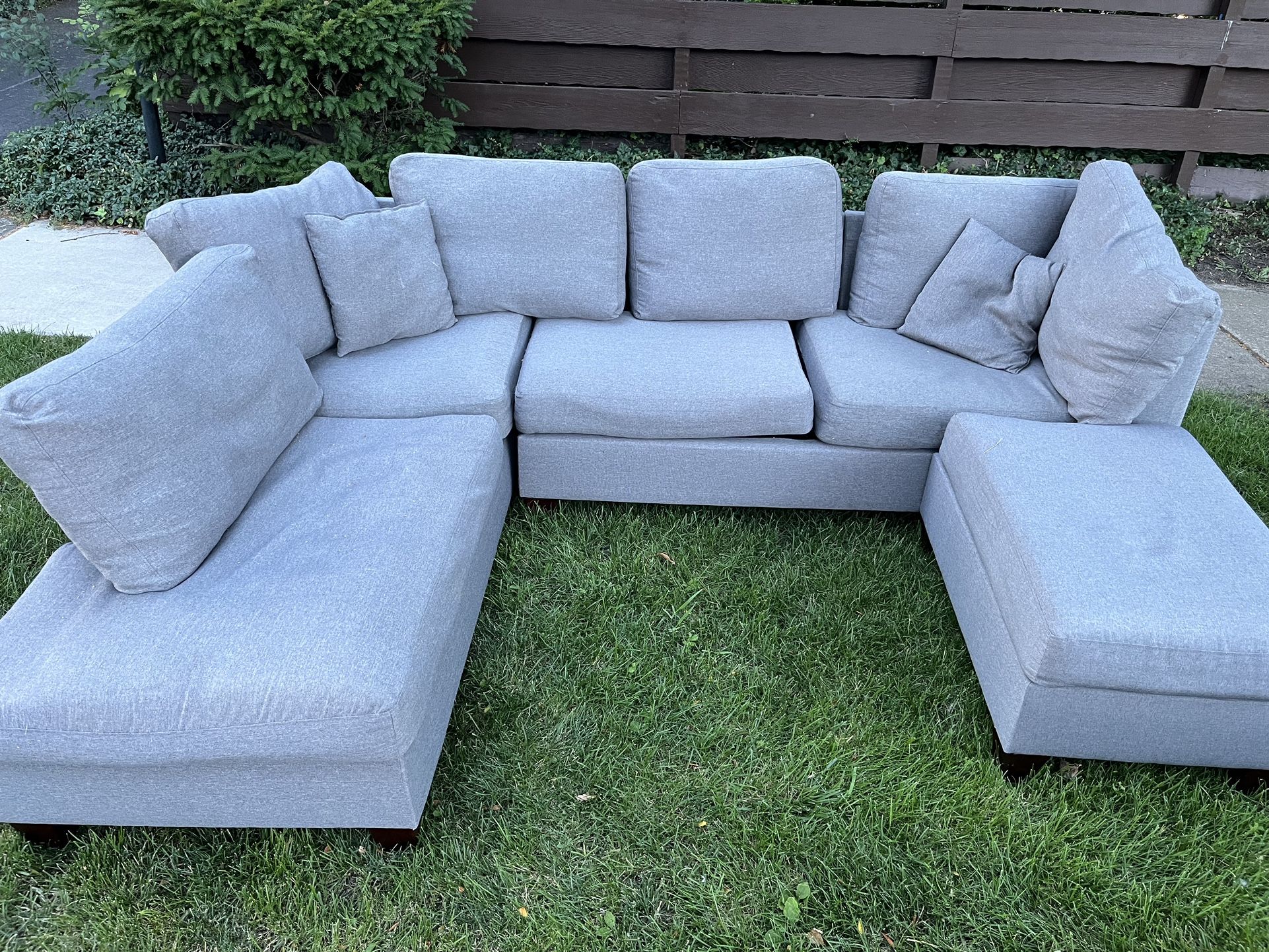Elegant Couch